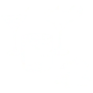 Cocktails